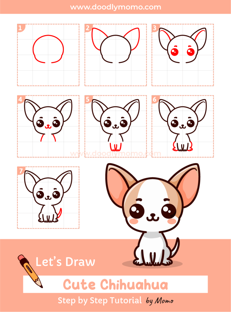 How to draw a cute Chihuahua step 7