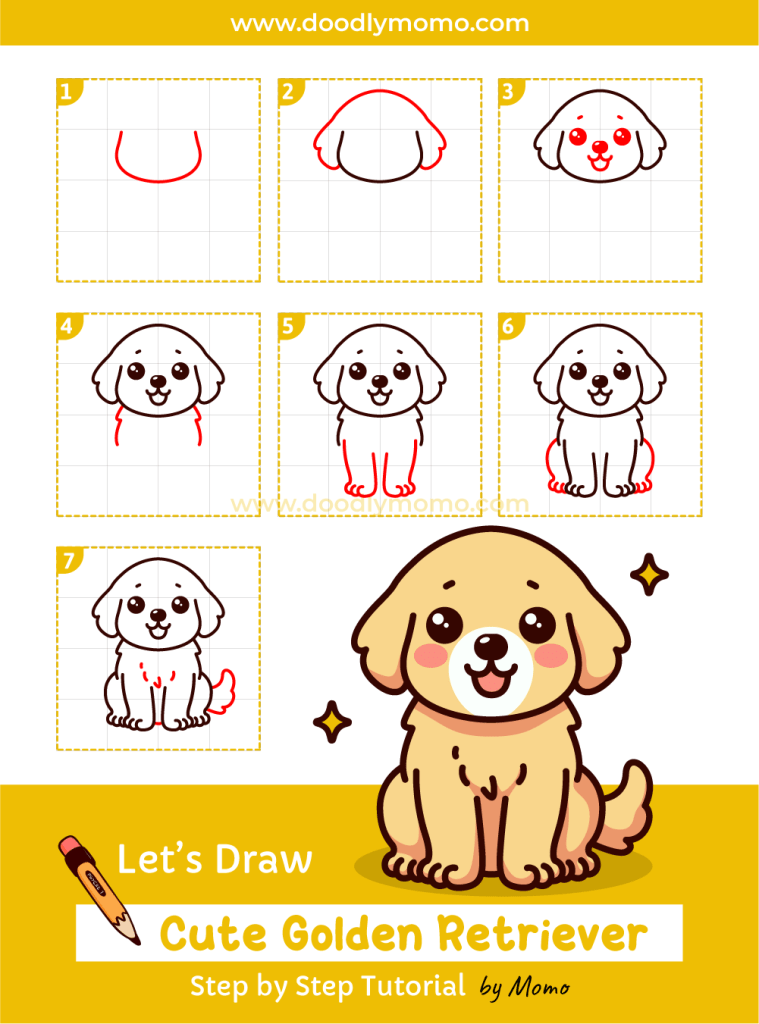 How to draw a cute Golden Retriever step by step - doodlymomo