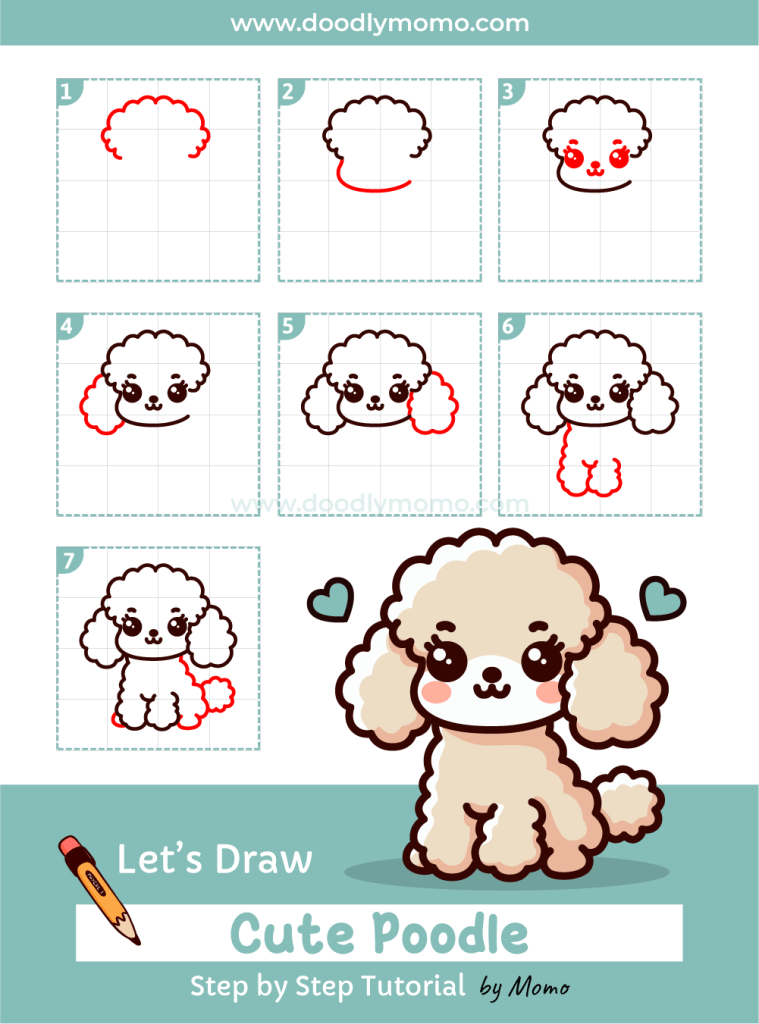 How to draw a cute Poodle step by step - doodlymomo