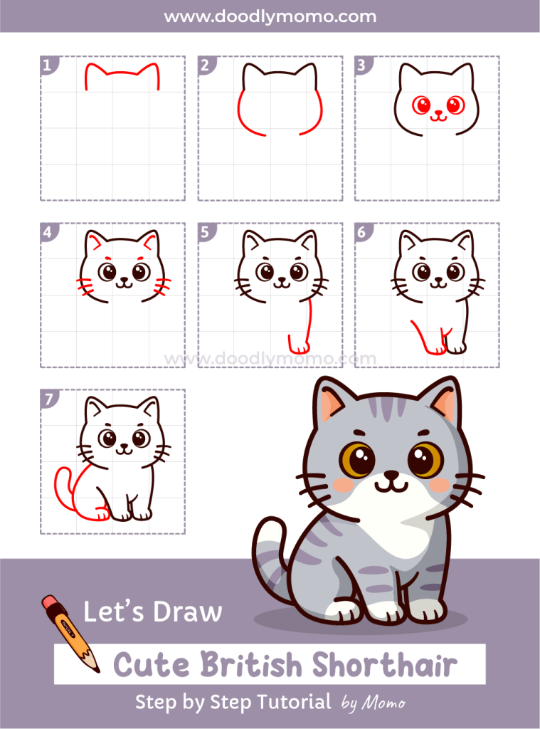 How to draw a cute British Shorthair Cat step by step - doodlymomo