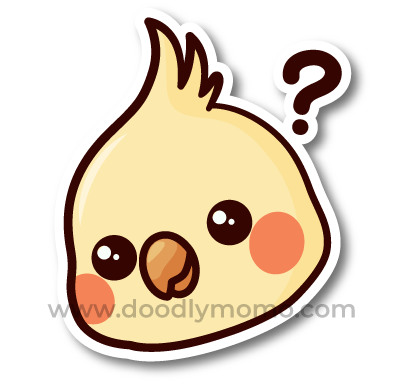 How to draw a cute Cockatiel step by step Did you know - doodlymomo