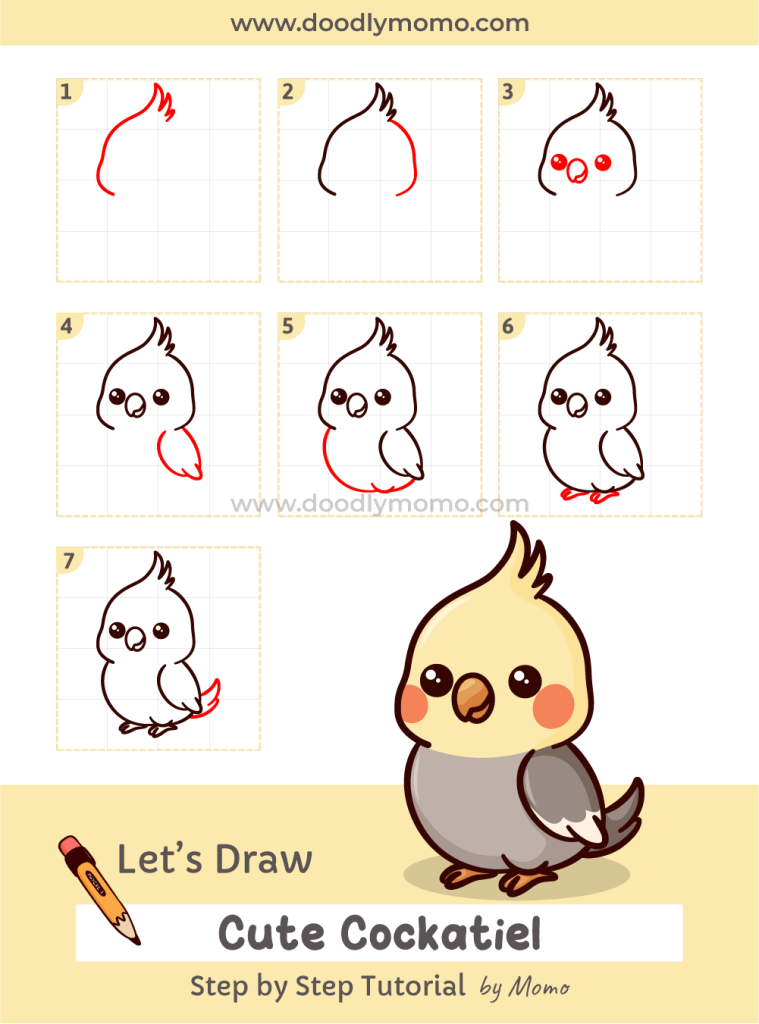 How to draw a cute Cockatiel step by step - doodlymomo