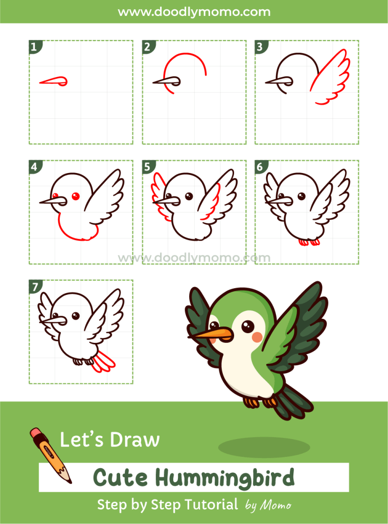 How to draw a cute Hummingbird step by step - doodlymomo