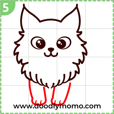 How to draw a cute Maine Coon Cat step 5