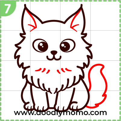 How to draw a cute Maine Coon Cat step 7
