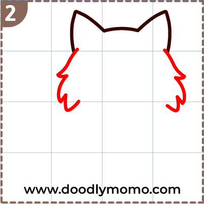 How to draw a cute Norwegian Forest Cat step (2)