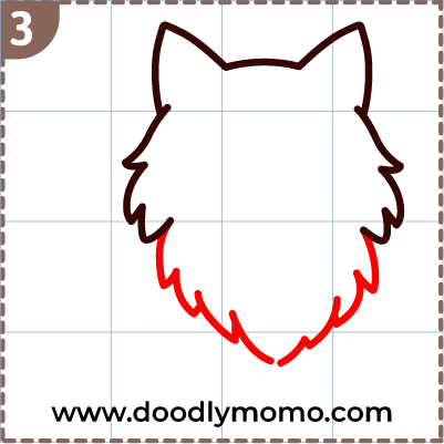 How to draw a cute Norwegian Forest Cat step (3)
