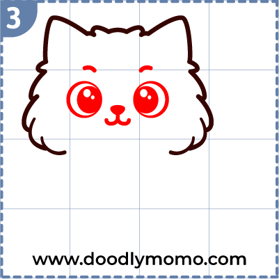 How to draw a cute Persian Cat step (3)