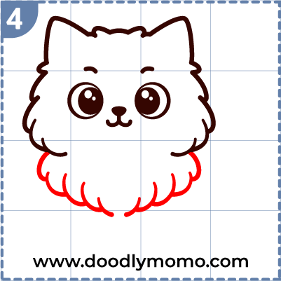 How to draw a cute Persian Cat step (4)