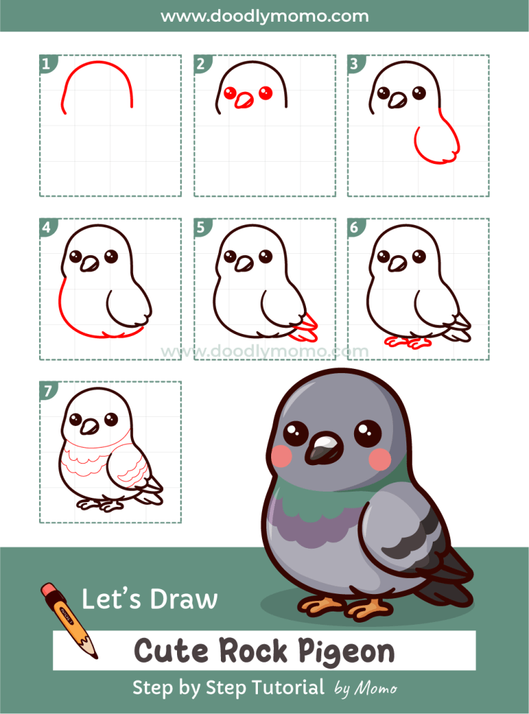 How to draw a cute Rock Pigeon step by step - doodlymomo
