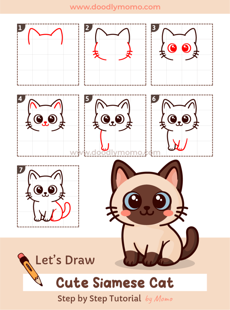 How to draw a cute Siamese Cat step by step - doodlymomo