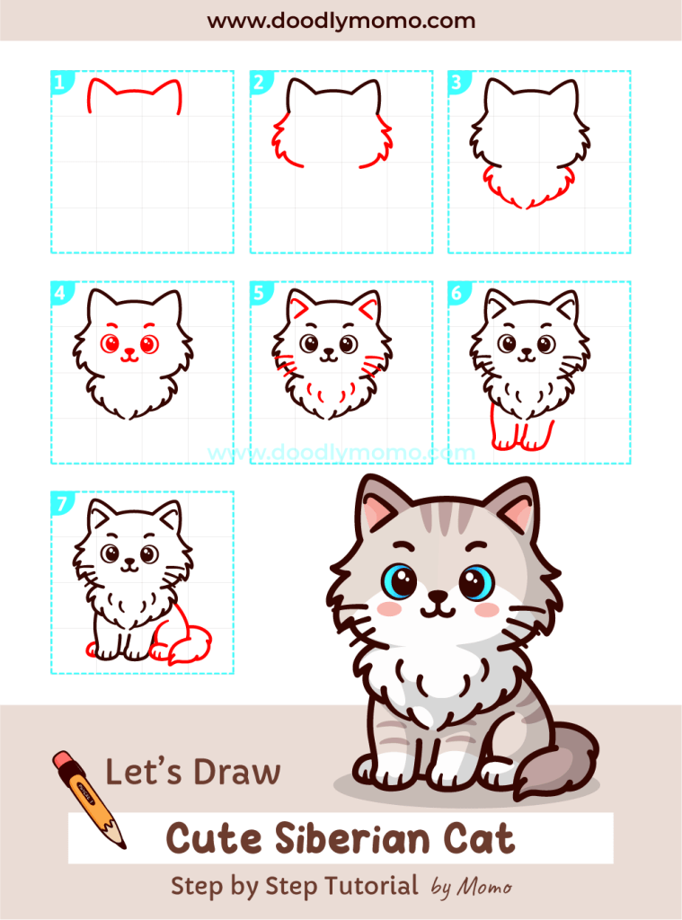 How to draw a cute Siberian Cat step by step - doodlymomo
