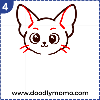 How to draw a cute Sphynx Cat step (4)