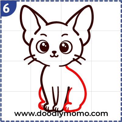 How to draw a cute Sphynx Cat step (6)