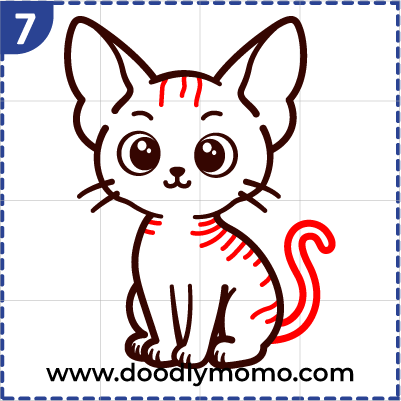 How to draw a cute Sphynx Cat step (7)