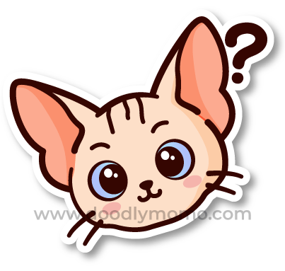 How to draw a cute Sphynx Cat step by step Did you know - doodlymomo