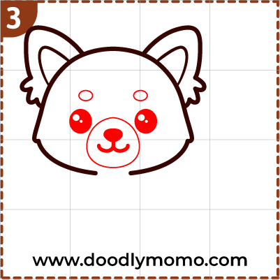 How to draw a cute Red Panda step (3)