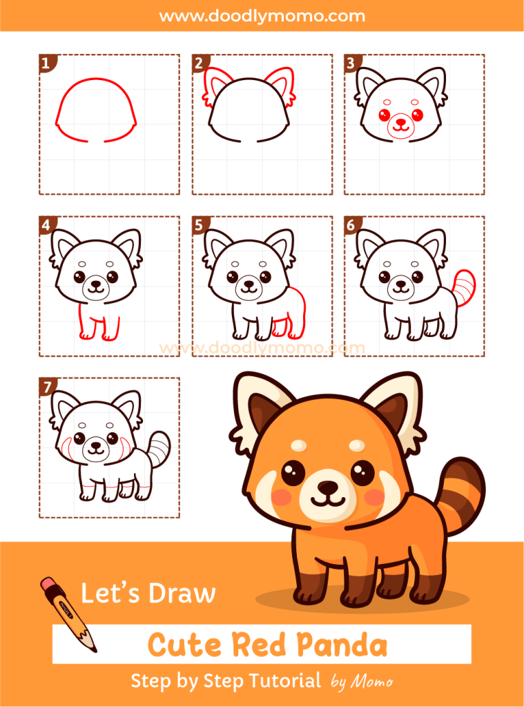 How to draw a cute Red Panda step by step - doodlymomo