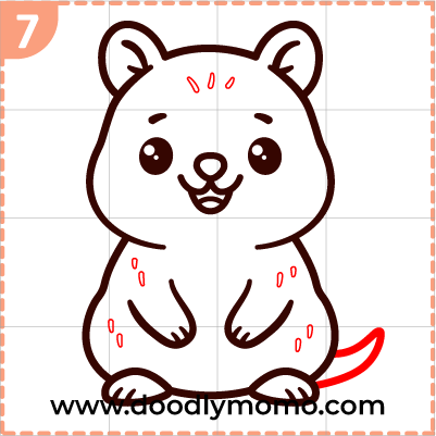 How to draw a cute Quokka step (7)