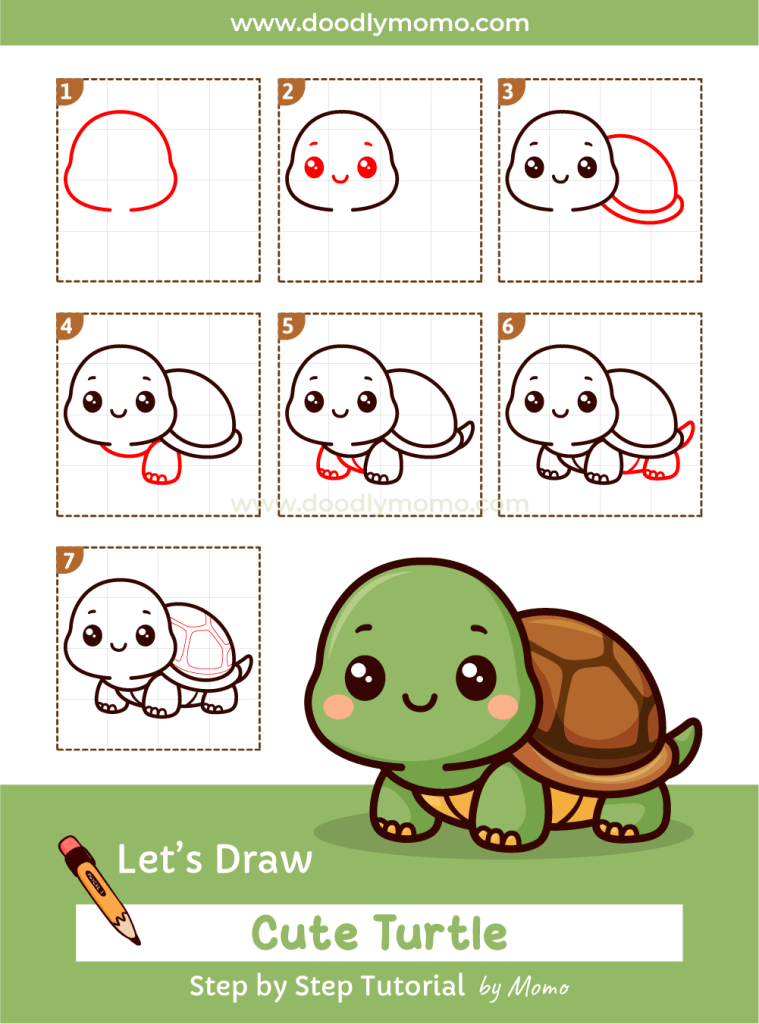 How to draw a cute Turtle step by step - doodlymomo