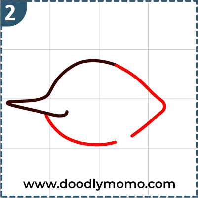 Step 2: Adding the backside and belly to the swordfish drawing