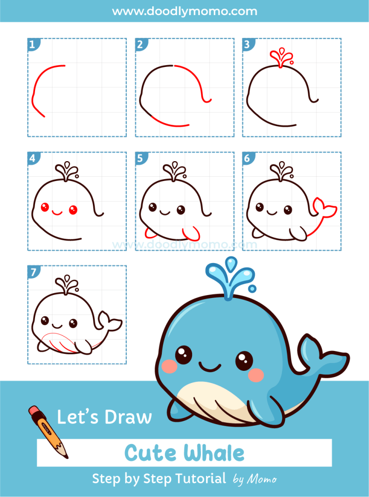 How to draw a cute Whale step by step - doodlymomo