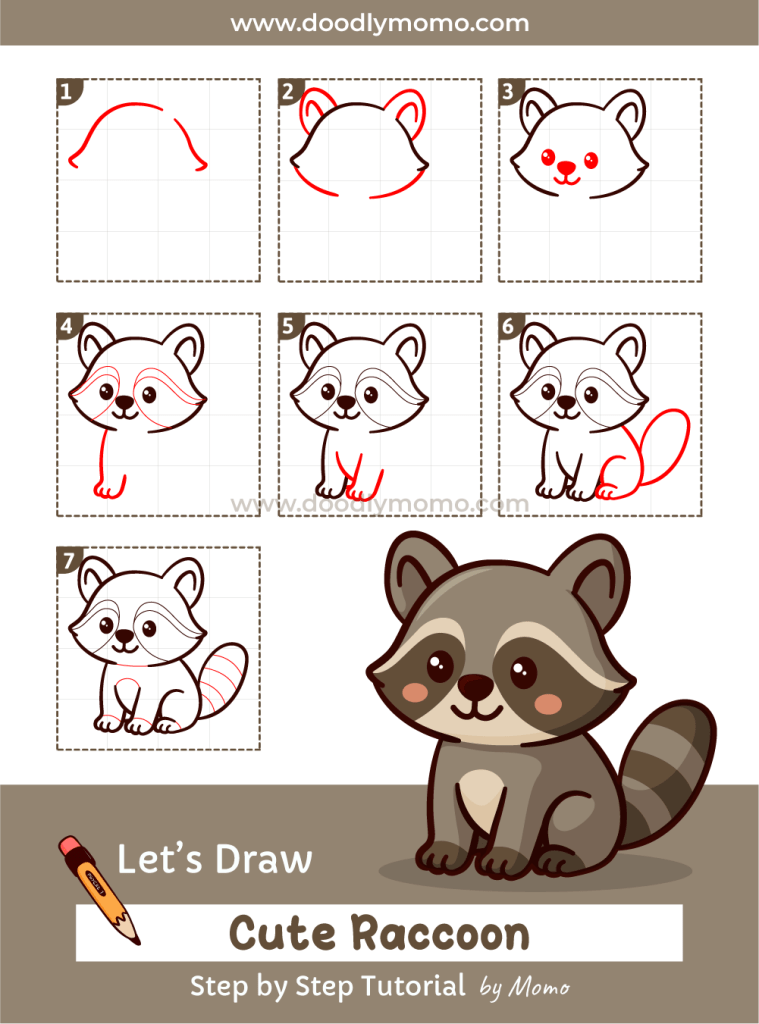 Complete step by step drawing of a cute raccoon for kids