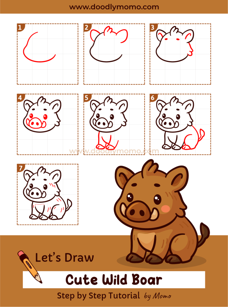 Complete step by step drawing of a cute wild boar for kids