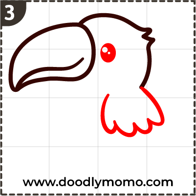 Step 3: Sketching the Toucan's eyes and wings step by step for beginners