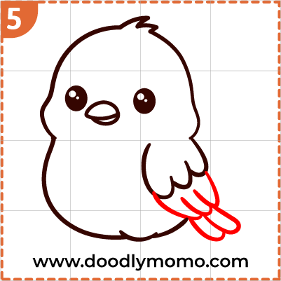 step 5 Adding wings and tail to the robin drawing